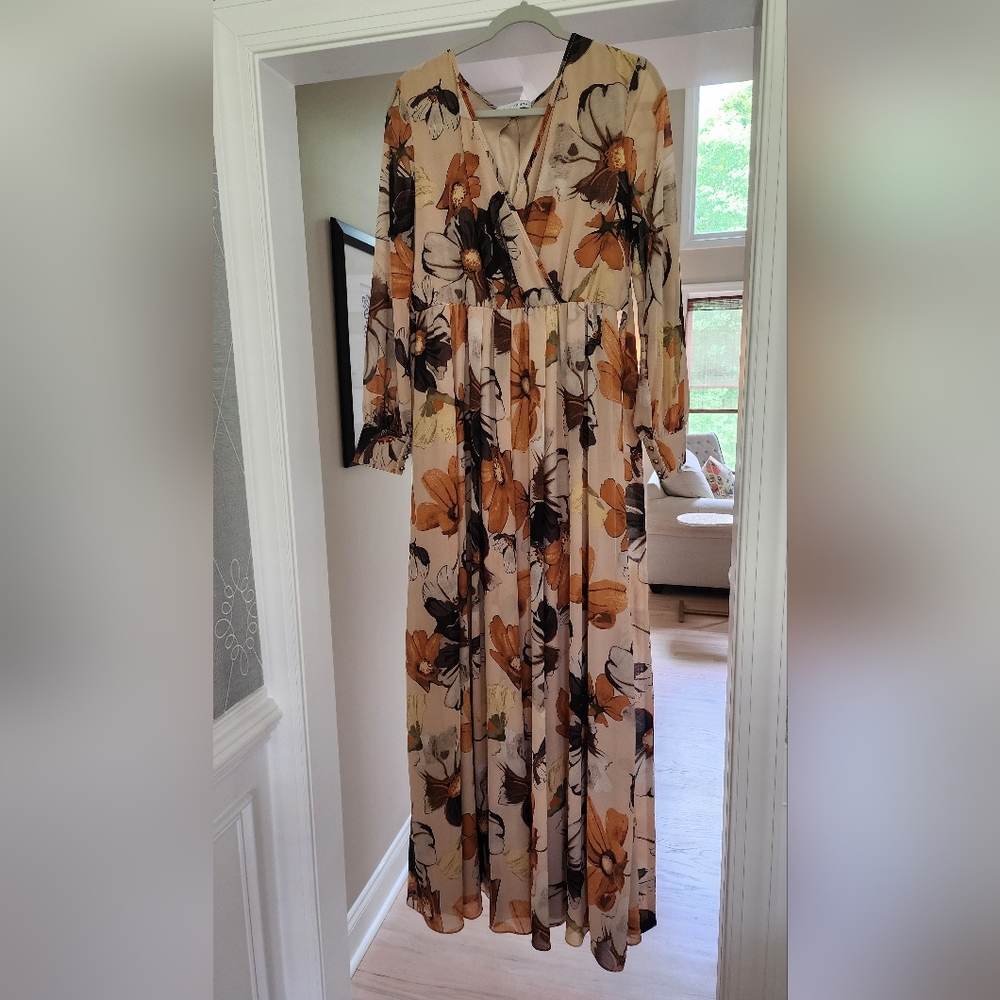 Baltic Born Chiffon Dresss